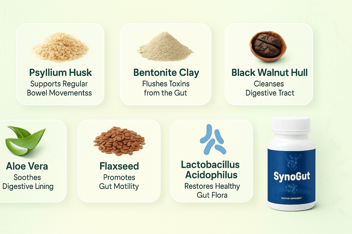 synogut-ingredients
